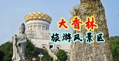 插屌视频中国浙江-绍兴大香林旅游风景区